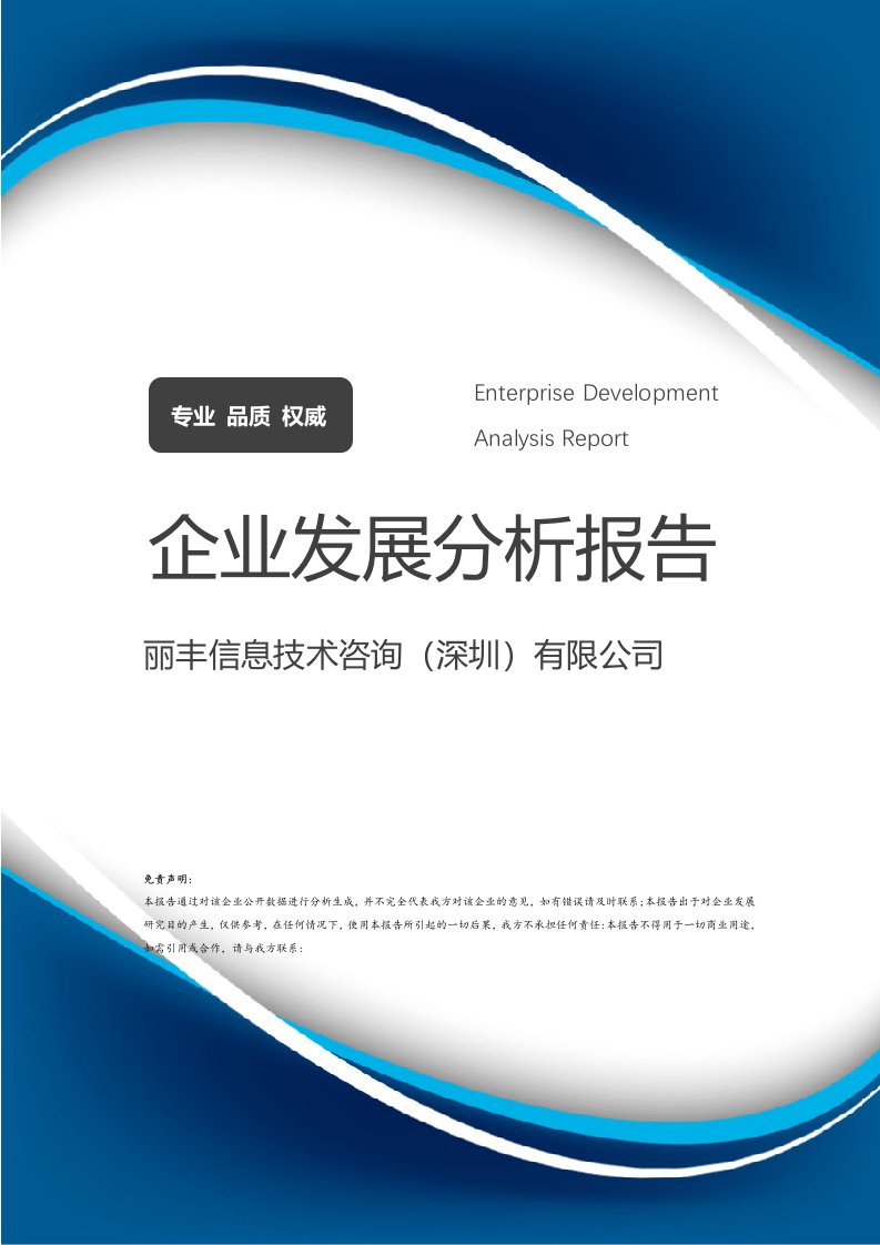麗豐信息技術(shù)咨詢（深圳）有限公司企業(yè)發(fā)展分析報告