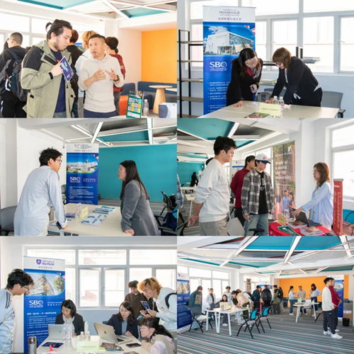 上海理工大學(xué)中英國際學(xué)院舉辦2025年度英國合作大學(xué)秋季咨詢會 聚焦信息技術(shù)咨詢服務(wù)，規(guī)劃未來留學(xué)之路