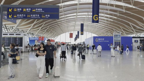 雙節同慶客流井噴，上海機場日均客流首破40萬大關折射出境游復蘇浪潮