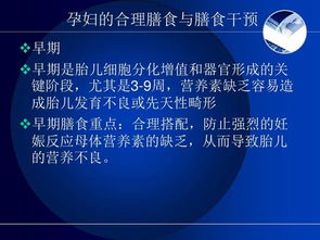 烹飪與膳食管理基礎(chǔ)在餐飲管理中的應(yīng)用